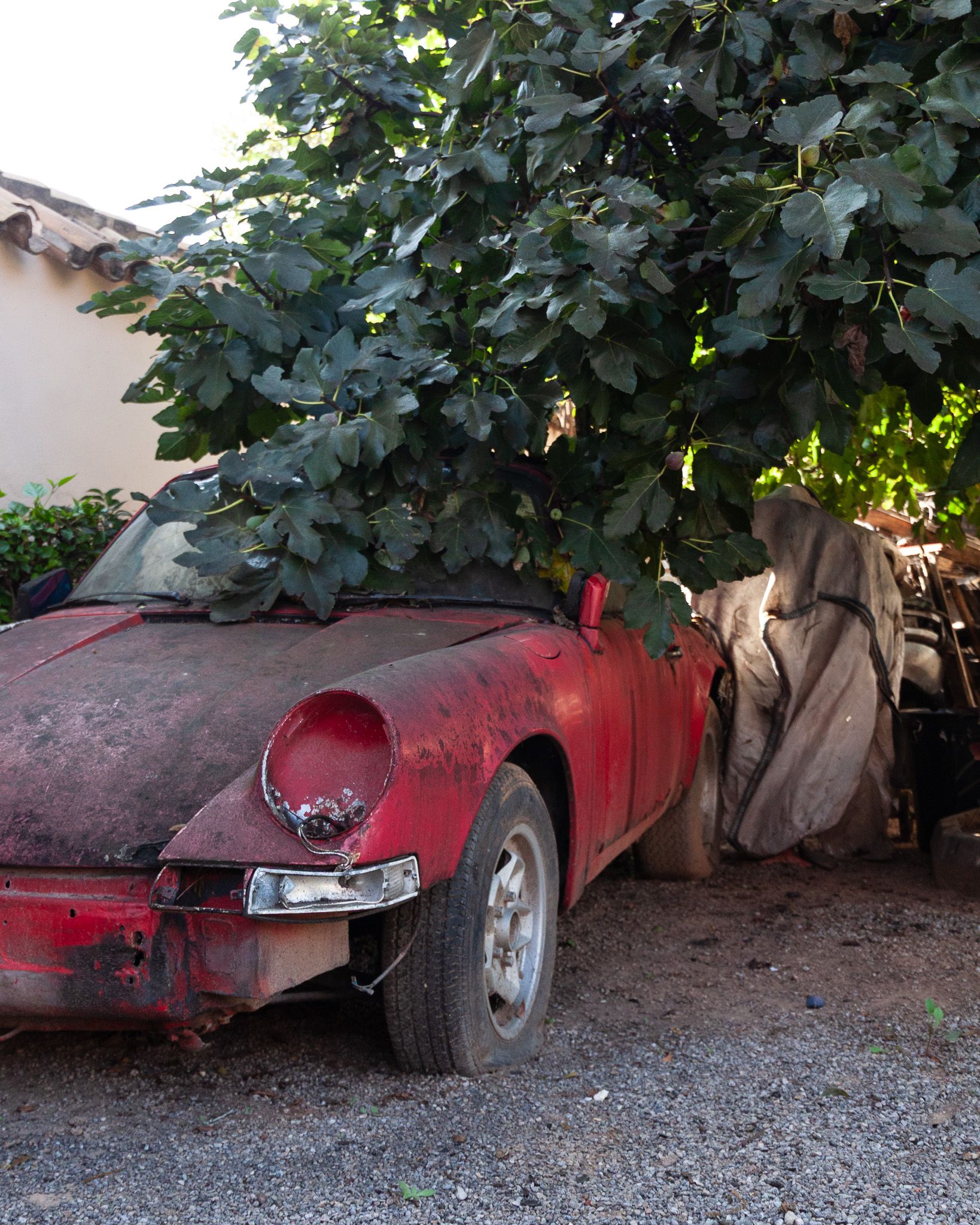 Classic red Porsche covered in dust and fig tree branches on a plot of land in Castellon