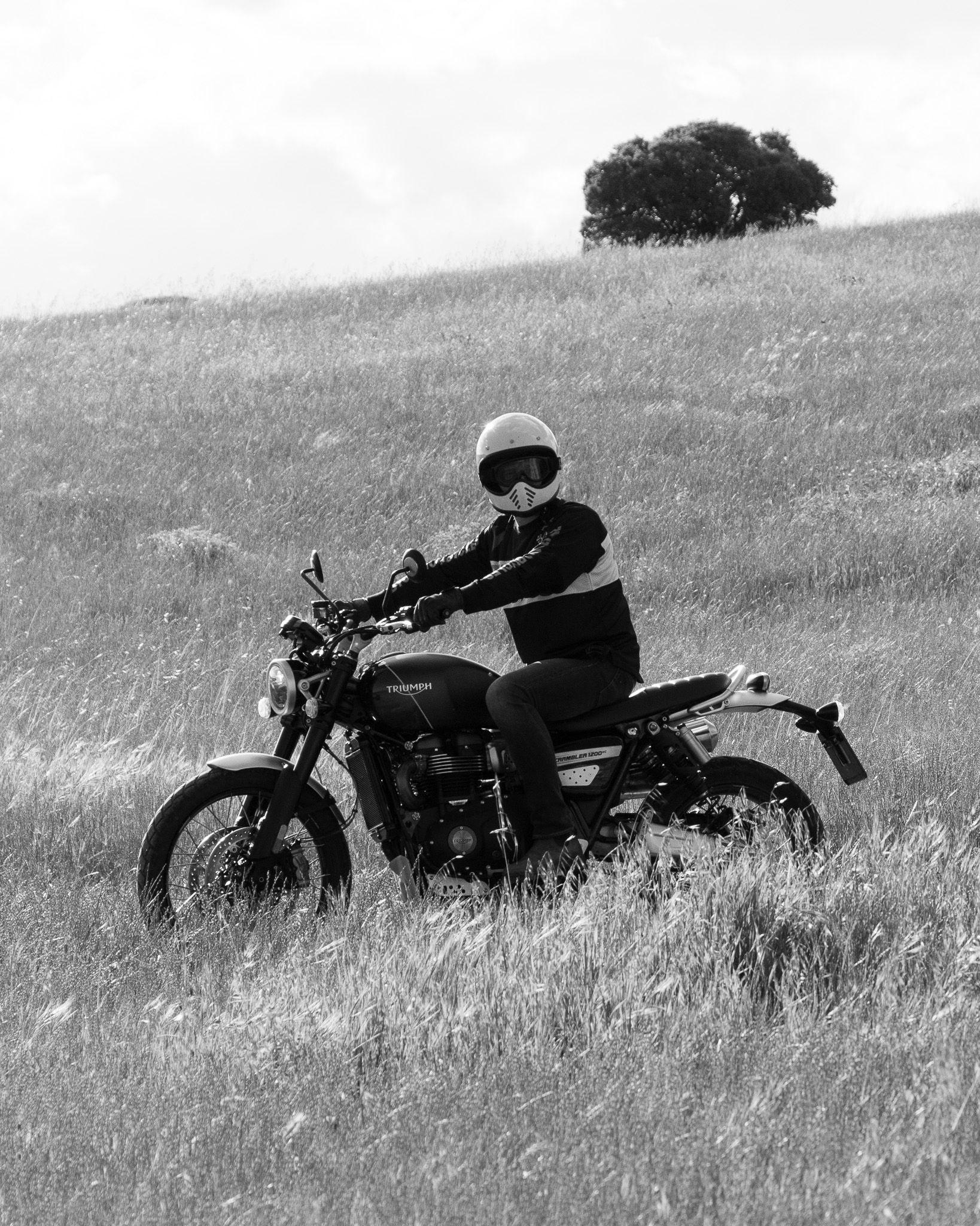 Helmeted motorcyclist on a Triumph riding through a field of tall grass near Madrid
