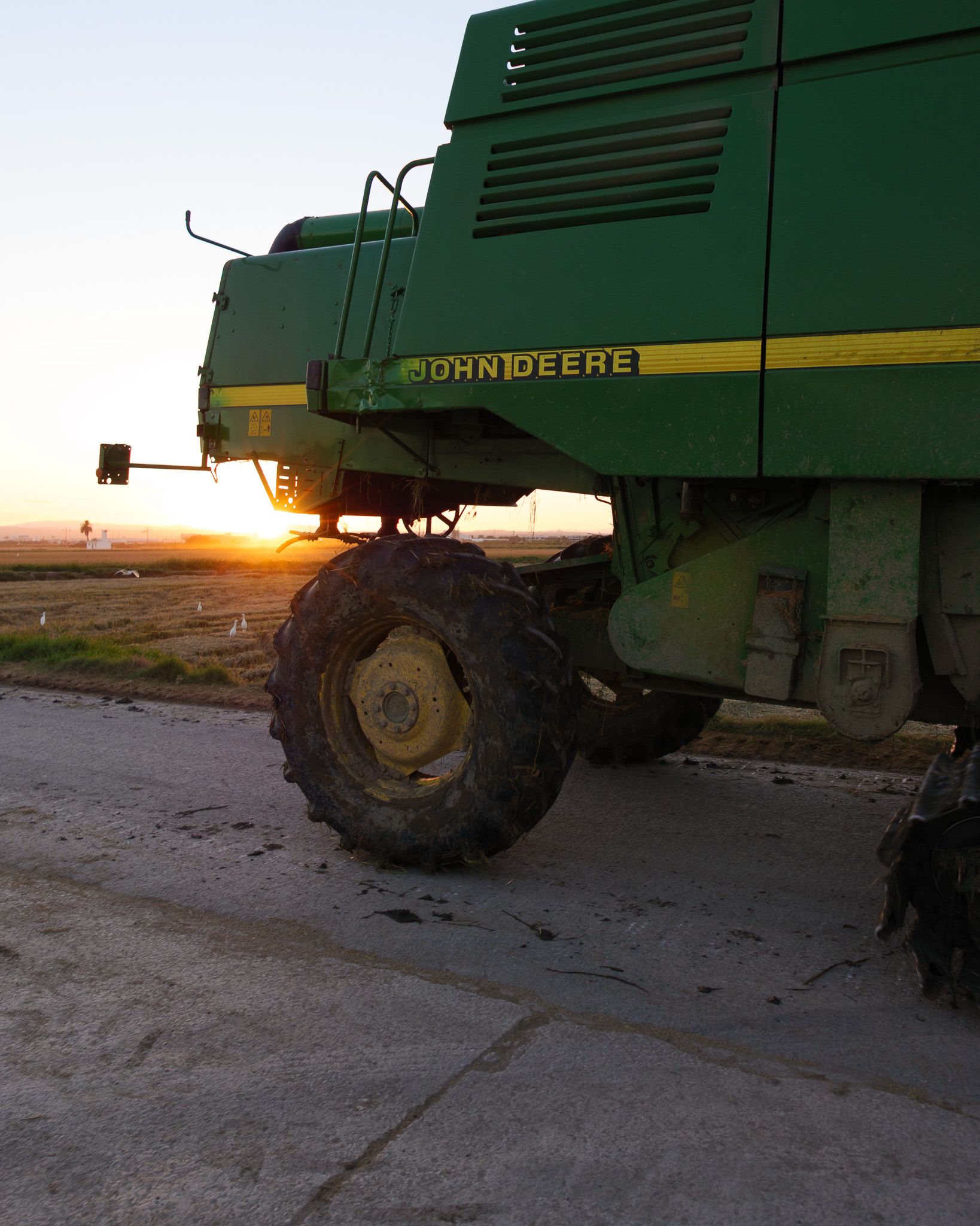 John Deere harvester among Albufera rice fields at sunset with birds in flight